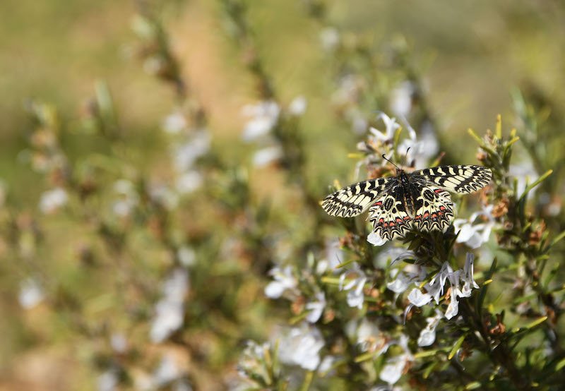 DSC_9470 DSC_9470