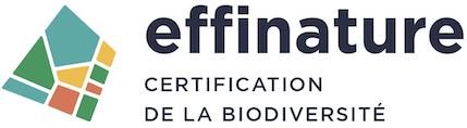 effinature%20logo%20ligting